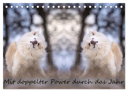 Cover-Bild zum Titel 'Mit doppelter Power durch das Jahr (Tischkalender 2027 DIN A5 quer), CALVENDO Monatskalender' von 'Monika Scheurer'