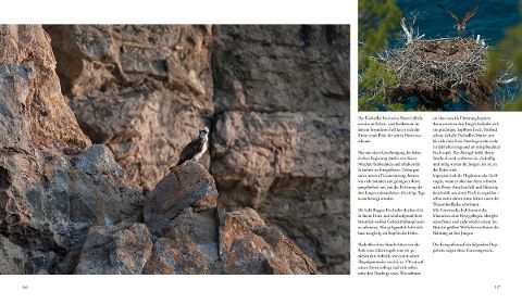 InsideView 16