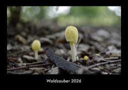 Cover-Bild zum Titel 'Waldzauber 2026 Fotokalender DIN A3' von 'Tobias Becker'
