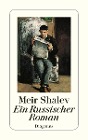  Ein Russischer Roman