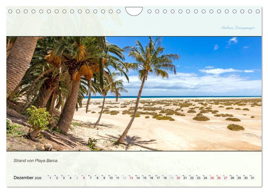 InsideView 4