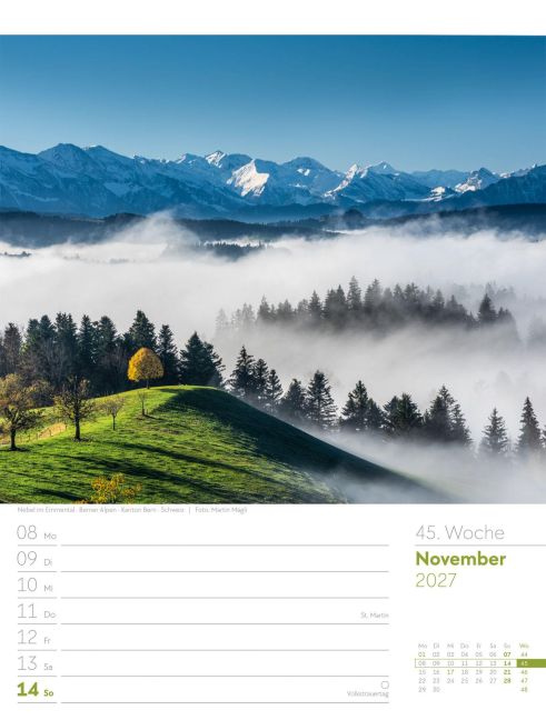 InsideView 49