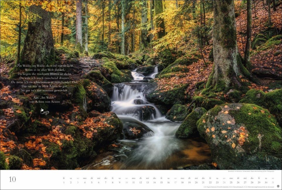 InsideView 10