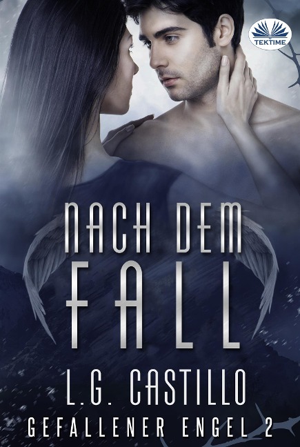 Nach Dem Fall (Gefallener Engel #2) - L. G. Castillo