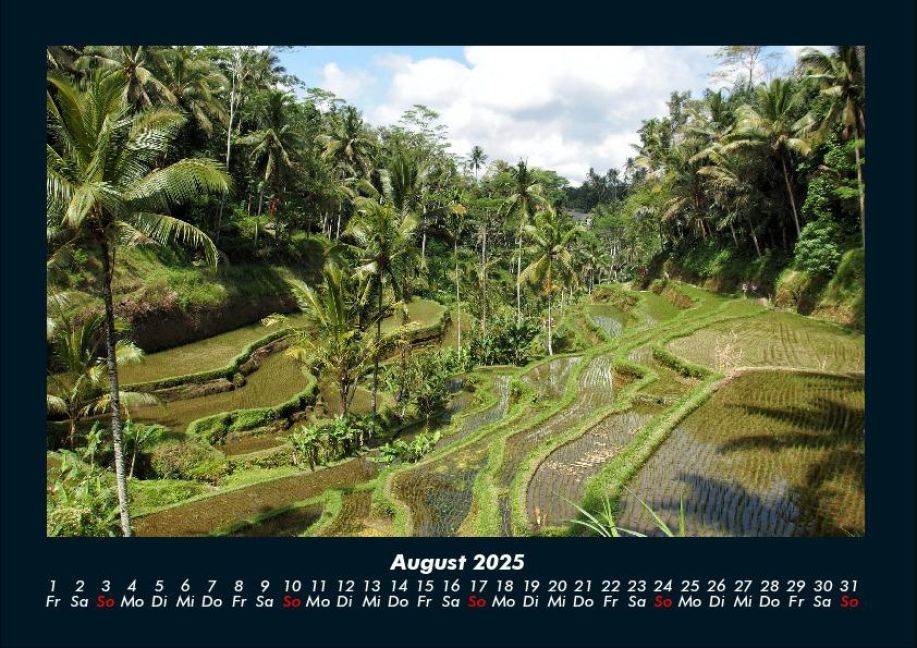 InsideView 12