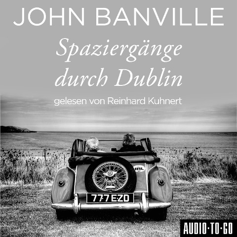 Spaziergänge durch Dublin - John Banville