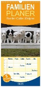 Familienplaner 2025 - Border Collie Welpen mit 5 Spalten (Wandkalender, 21 x 45 cm) CALVENDO - Antje Lindert-Rottke