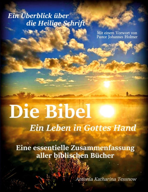 Die Bibel - Ein Leben in Gottes Hand, Eine essentielle Zusammenfassung aller biblischen Bücher - Antonia Katharina Tessnow