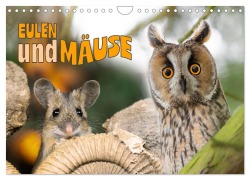 Cover-Bild zum Titel 'Eulen und Mäuse (Wandkalender 2026 DIN A4 quer), CALVENDO Monatskalender' von 'Jennifer Hetzel'
