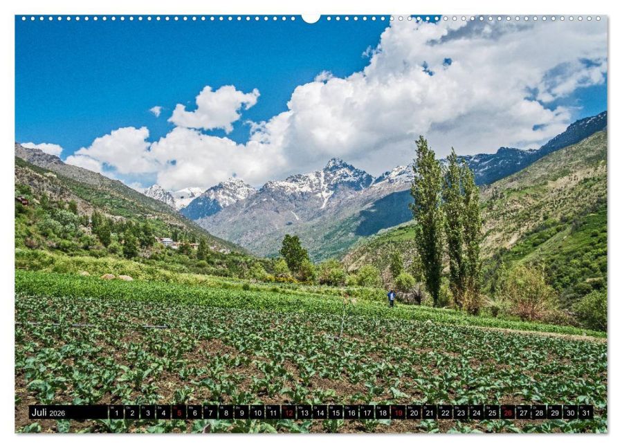 InsideView 12