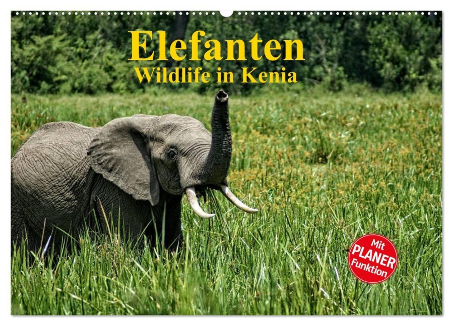 Elefanten . Wildlife in Kenia (Wandkalender 2026 DIN A2 quer), CALVENDO Monatskalender - Susan Michel