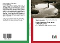Cover-Bild zum Titel 'La performance di un nuovo fotocatalizzatore' von 'Mohammad Saleh Shafeeyan, Mohammad Reza Delsouz Khaki, Abdul Aziz Abdul Raman'
