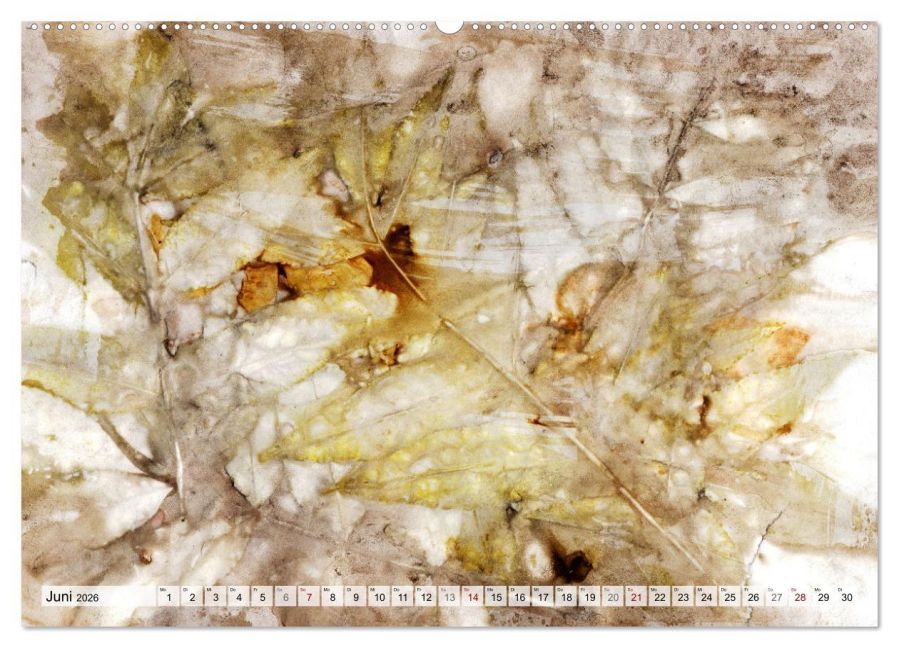 InsideView 11