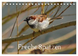 Freche Spatzen (Tischkalender 2026 DIN A5 quer), CALVENDO Monatskalender - Kattobello Kattobello