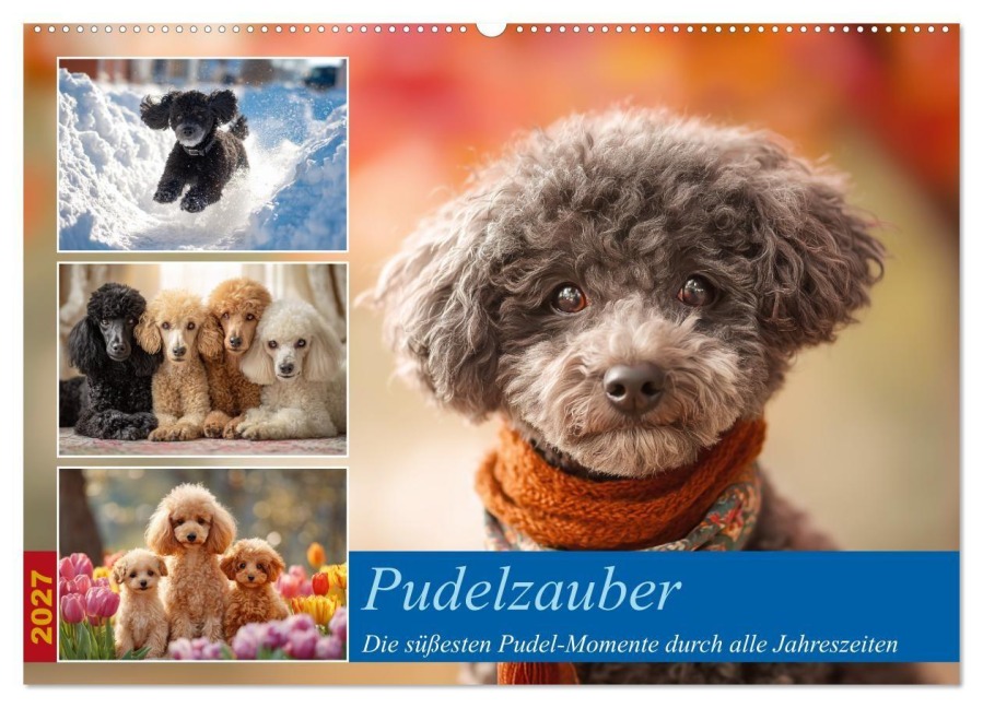 Pudelzauber (Wandkalender 2027 DIN A2 quer), CALVENDO Monatskalender - Steffen Gierok-Latniak