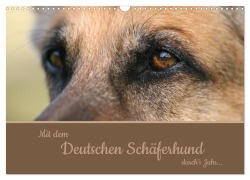 Cover-Bild zum Titel 'Mit dem Deutschen Schäferhund durch's Jahr (Wandkalender 2026 DIN A3 quer), CALVENDO Monatskalender' von 'Claudia Steininger'