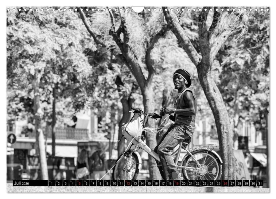 InsideView 12