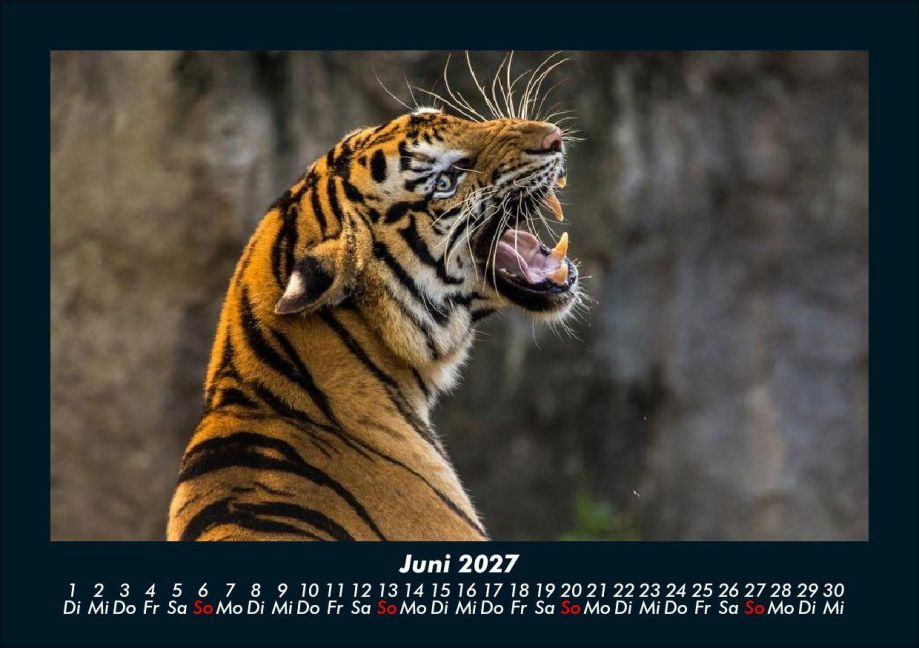 InsideView 10