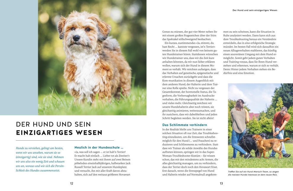 InsideView 5