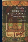 Cover-Bild zum Titel 'Glossae Hibernicae Veteres Codicis Taurinensis' von 'Costantino Nigra'