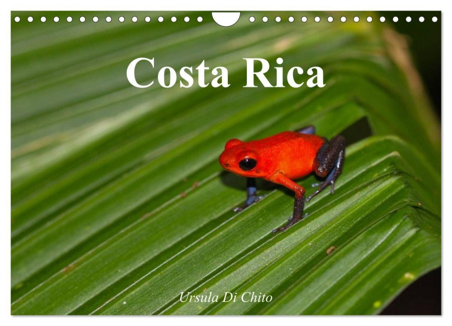 Costa Rica (Wandkalender 2026 DIN A4 quer), CALVENDO Monatskalender - Ursula Di Chito