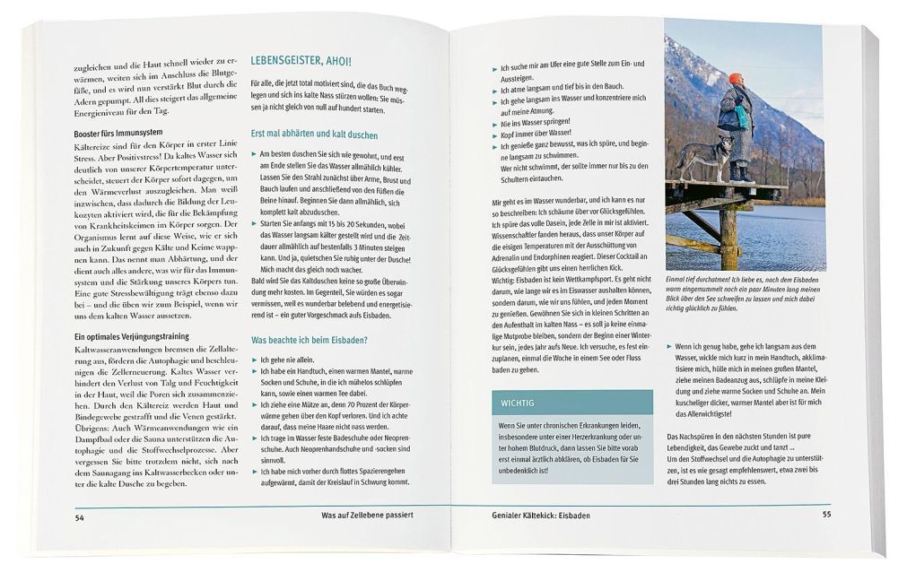 InsideView 5