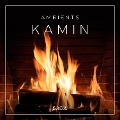 Cover-Bild zum Titel 'Ambients - Kamin' von 'Rasmus Broe'