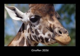 Cover-Bild zum Titel 'Giraffen 2026 Fotokalender DIN A3' von 'Tobias Becker'