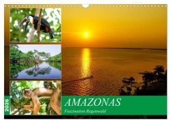 Cover-Bild zum Titel 'Amazonas - Faszination Regenwald (Wandkalender 2026 DIN A3 quer), CALVENDO Monatskalender' von 'Markus Nawrocki'