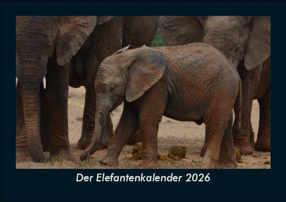 Der Elefantenkalender 2026 Fotokalender DIN A5 - Tobias Becker