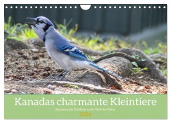 Cover-Bild zum Titel 'Kanadas charmante Kleintiere - Bezaubernde Einblicke in die Natur (Wandkalender 2026 DIN A4 quer), CALVENDO Monatskalender' von 'Claudia Pilon'