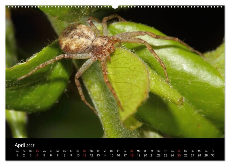 InsideView 8