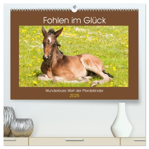 Fohlen im Glück - Wunderbare Welt der Pferdekinder (hochwertiger Premium Wandkalender 2025 DIN A2 quer), Kunstdruck in Hochglanz - Meike Bölts