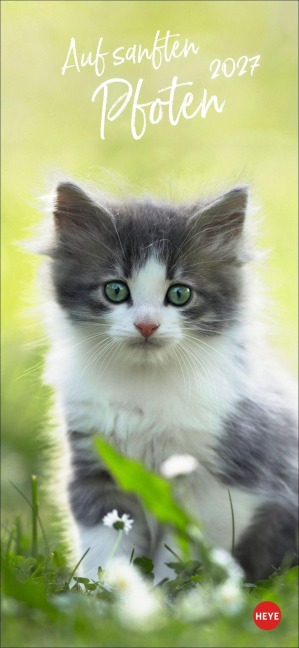 Katzen slim - Auf sanften Pfoten Kalender 2027 - 