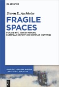 Cover-Bild zum Titel 'Fragile Spaces' von 'Steven E. Aschheim'