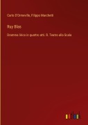 Cover-Bild zum Titel 'Ruy Blas' von 'Carlo D'Ormeville, Filippo Marchetti'