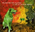 Cover-Bild zum Titel 'Live at Blue Monday' von 'Electric Dog Allstars'