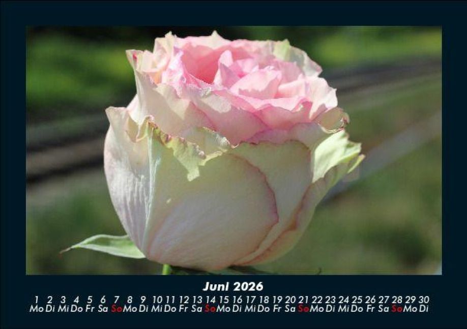 InsideView 10
