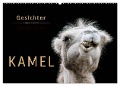 Kamel Gesichter (Wandkalender 2024 DIN A2 quer), CALVENDO Monatskalender - Peter Roder