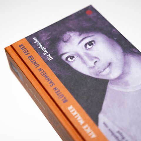 InsideView 2