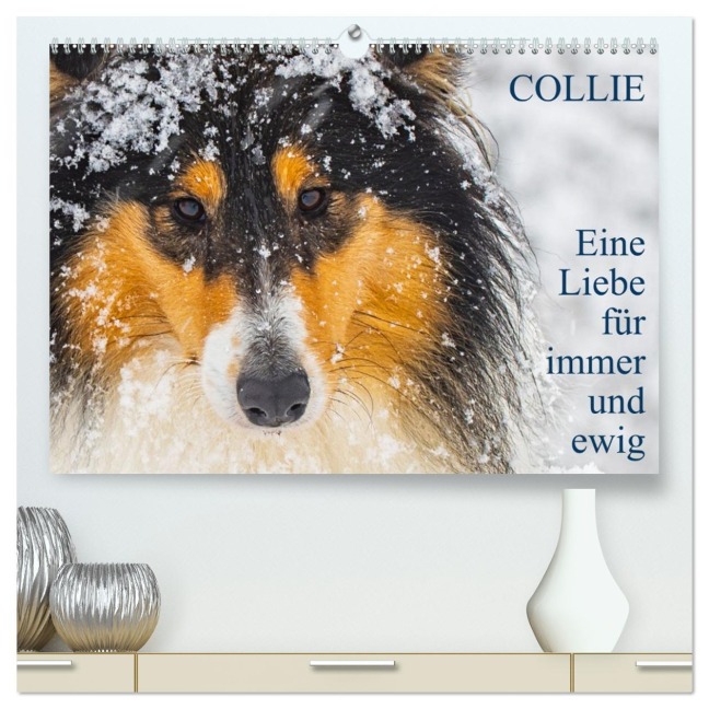 Collies - Eine Liebe für immer und ewig (hochwertiger Premium Wandkalender 2026 DIN A2 quer), Kunstdruck in Hochglanz - Sigrid Starick