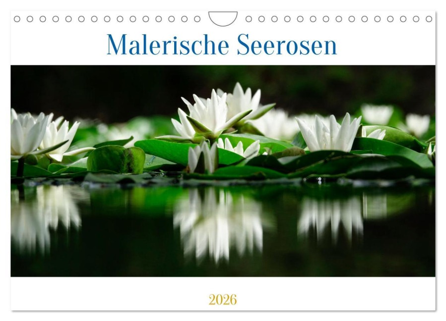 Malerische Seerosen (Wandkalender 2026 DIN A4 quer), CALVENDO Monatskalender - Anette/Thomas Jäger