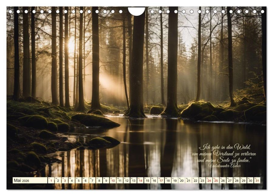 InsideView 10