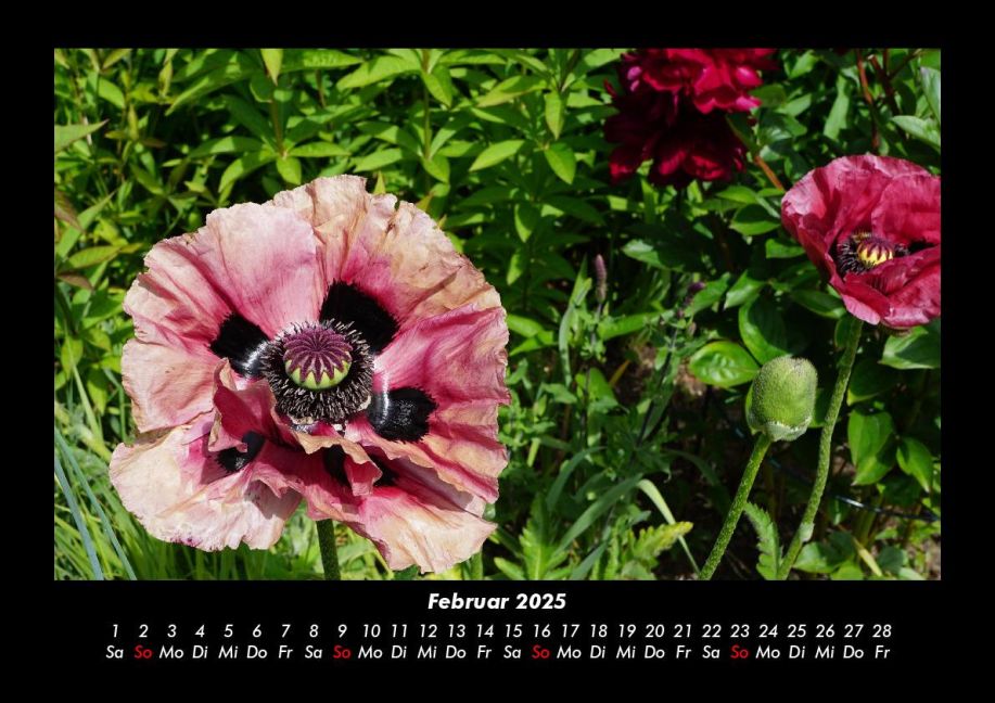 InsideView 6