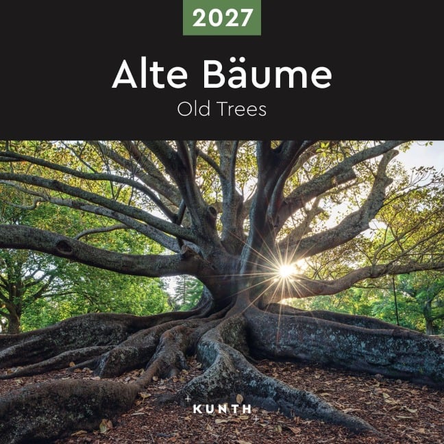 Alte Bäume - KUNTH Broschurkalender 2027 - 
