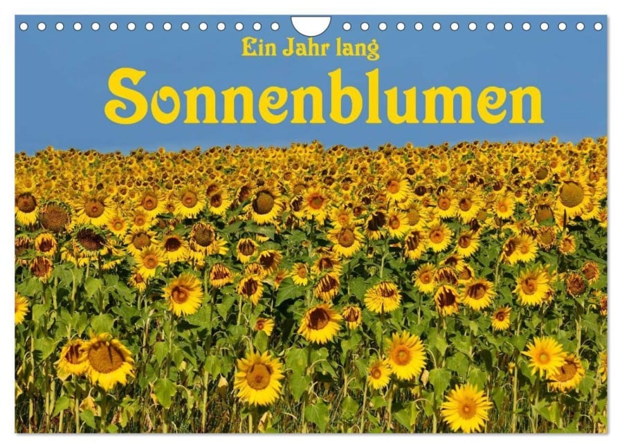 Ein Jahr lang Sonnenblumen (Wandkalender 2026 DIN A4 quer), CALVENDO Monatskalender - Anke van Wyk - www. germanpix. net