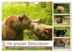 Cover-Bild zum Titel 'Die grossen Bärentatzen (Wandkalender 2027 DIN A4 quer), CALVENDO Monatskalender' von 'Photo4emotion. Com'