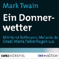 Cover-Bild zum Titel 'Ein Donnerwetter' von 'Mark Twain'
