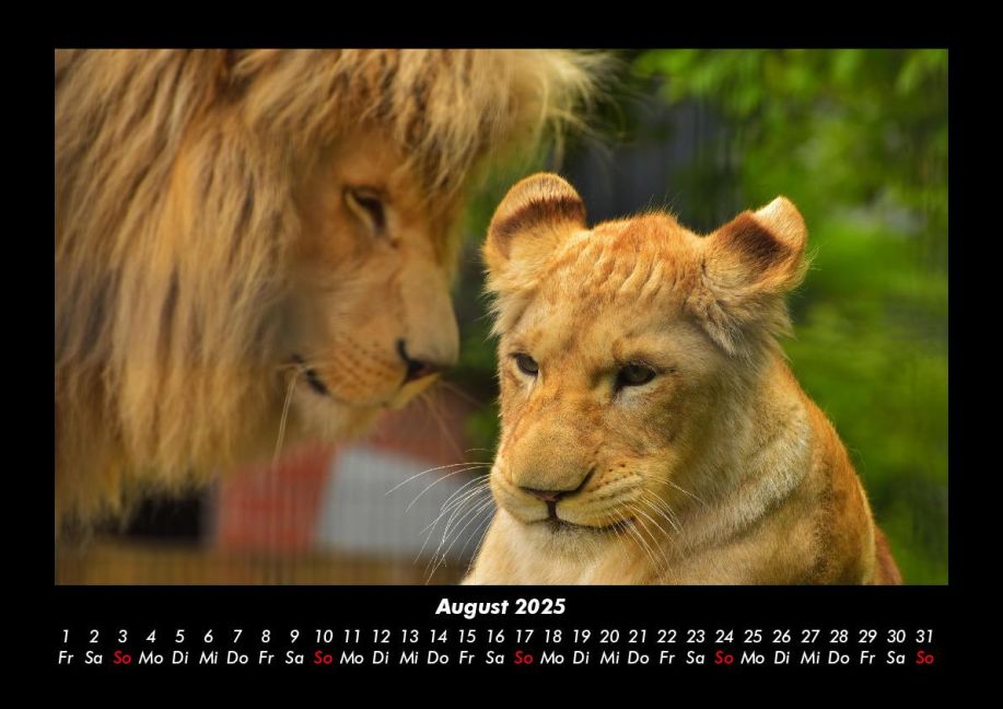 InsideView 12