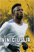 Cover-Bild zum Titel 'Vinicius Jr.' von 'Can Eren'